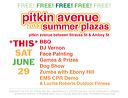 10259-130509-pitkin__d45906